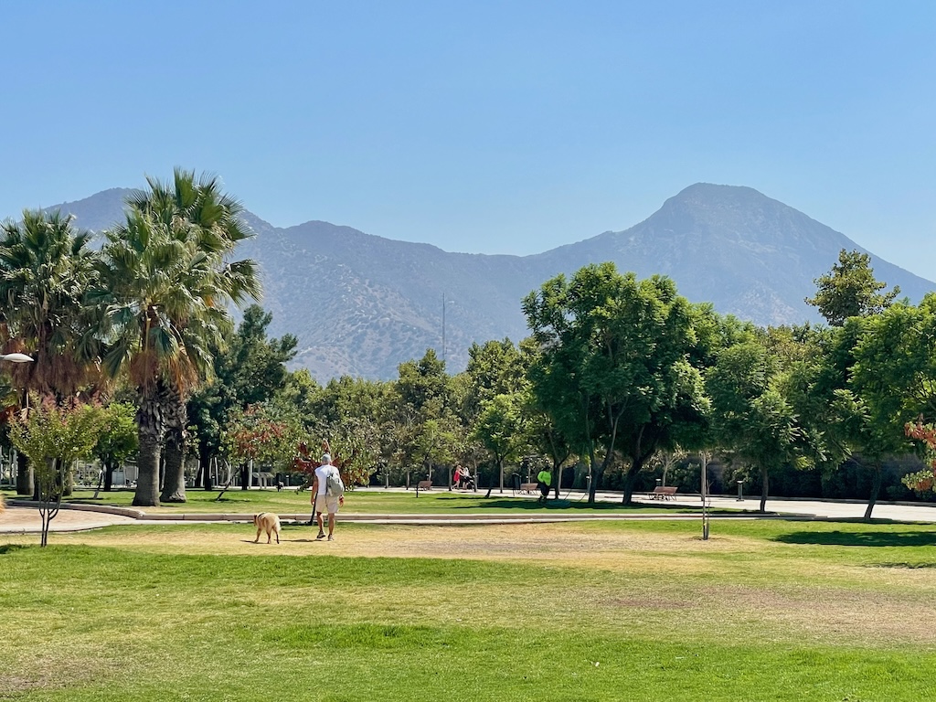 A tranquil vista in Parque Bicentenario