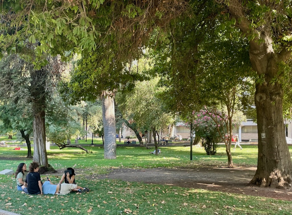 Parque Forestal offers a leafy refuge for folks of all ages.