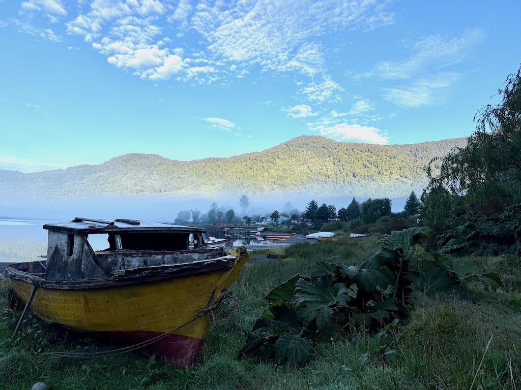 Early morning mist