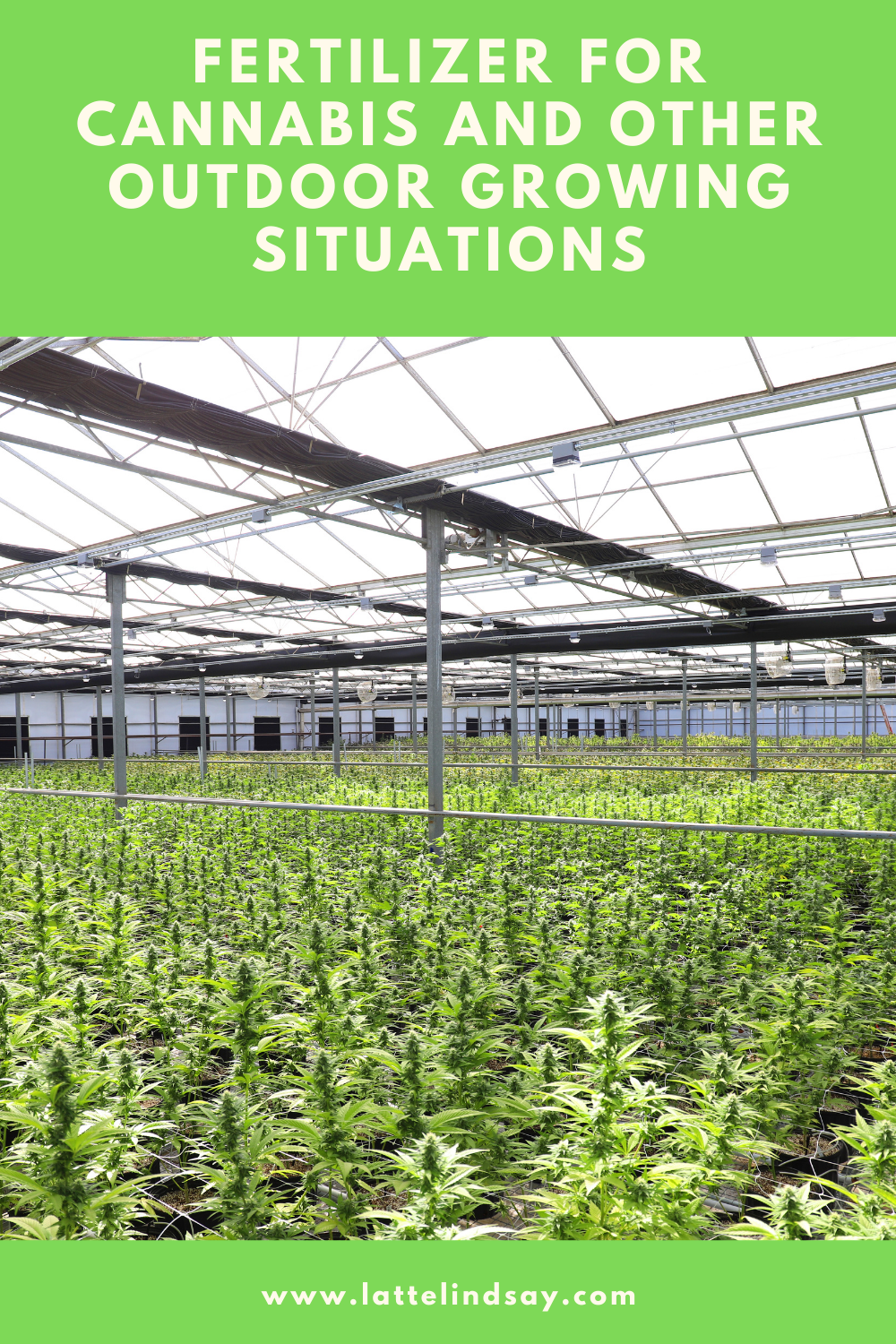 Cannabis || Fertilizer for Cannabis and Other Outdoor Growing Situations