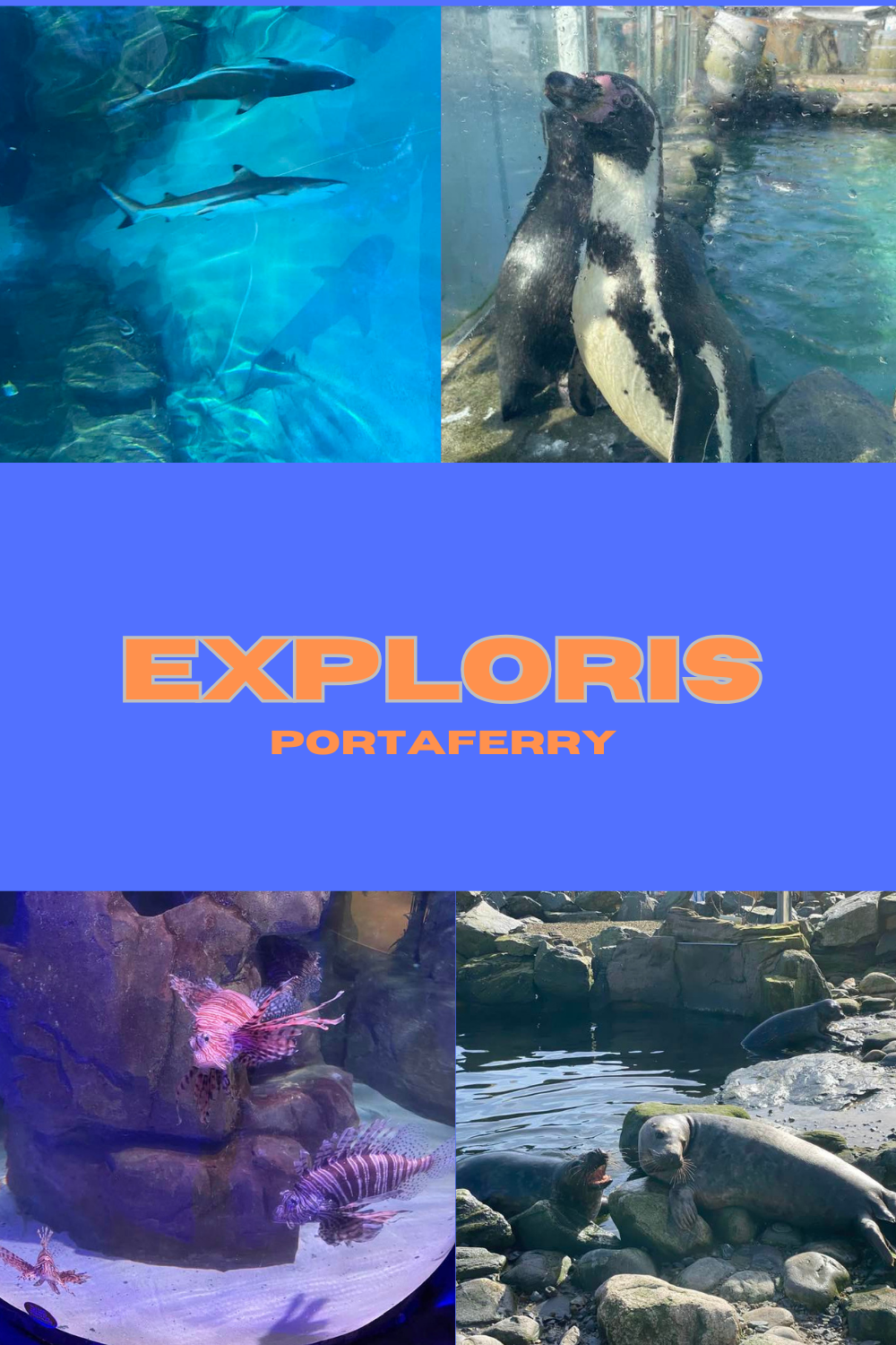 day trip in Portaferry
