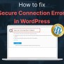 How To Fix Secure Connection Error In WordPress | Launch Digital ...