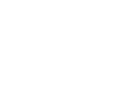 LPD logo white