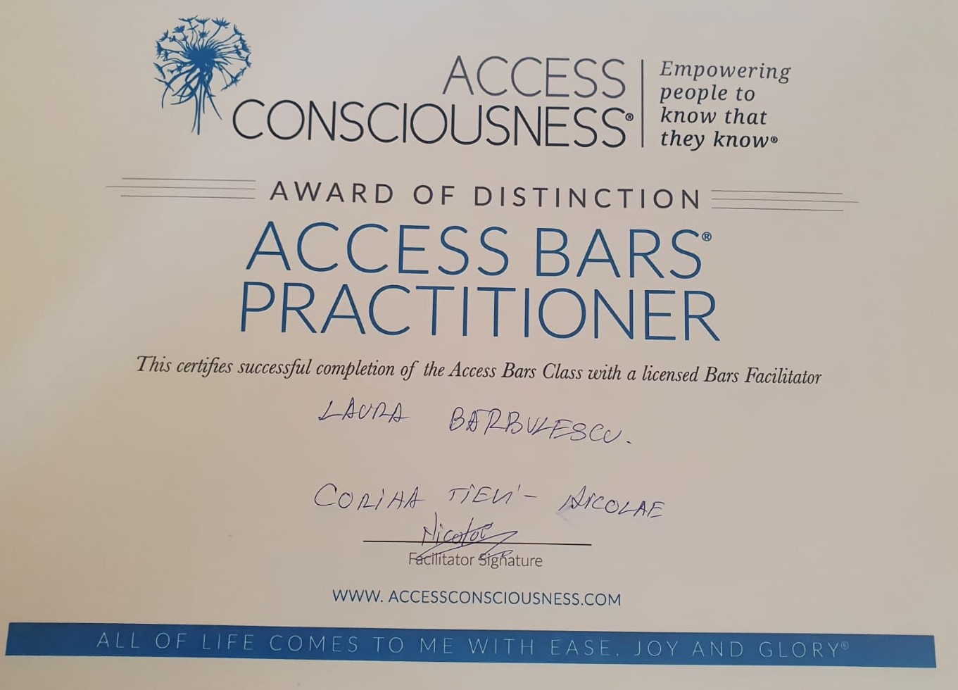practitioner access bars