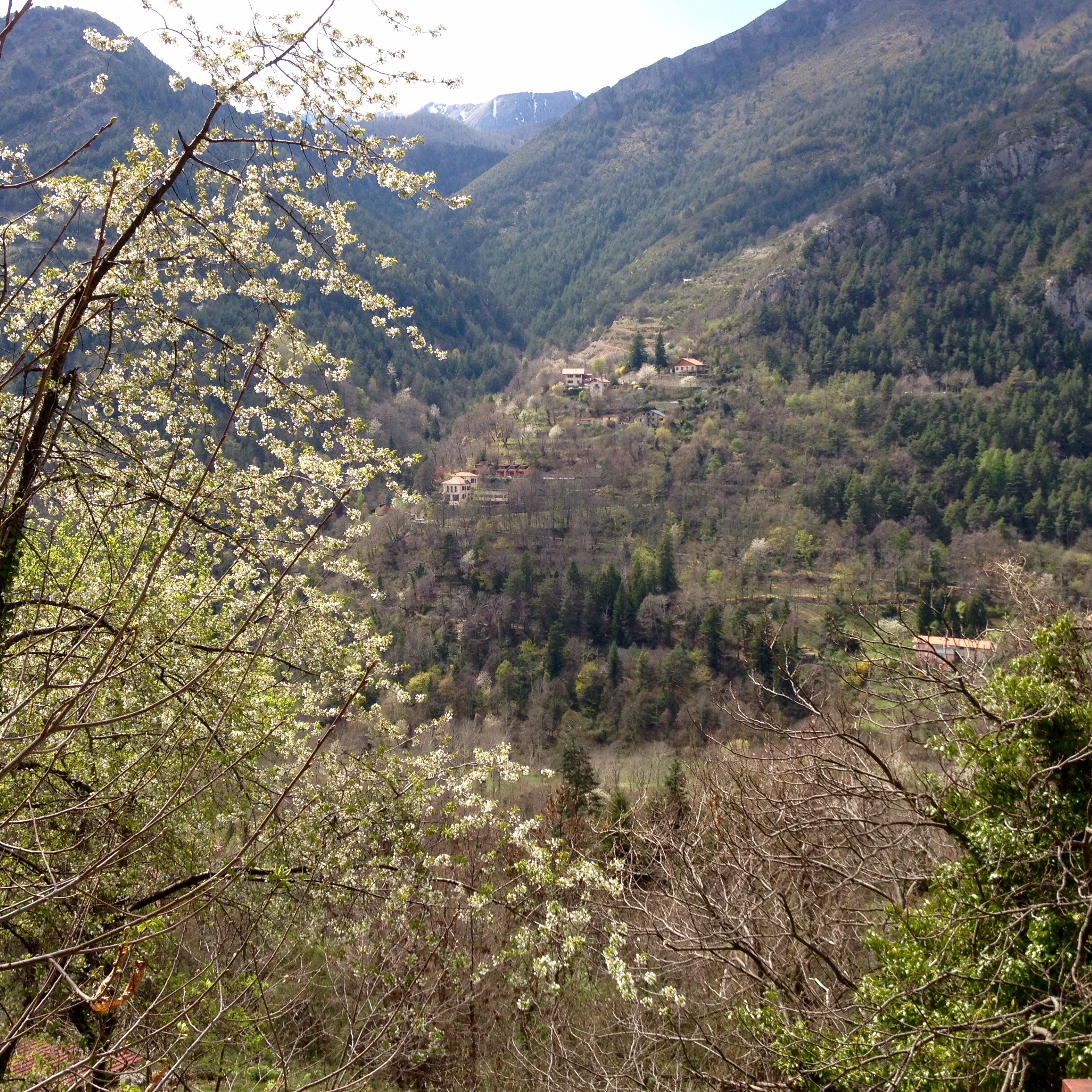 A view of the village Saint Martin Vesubie