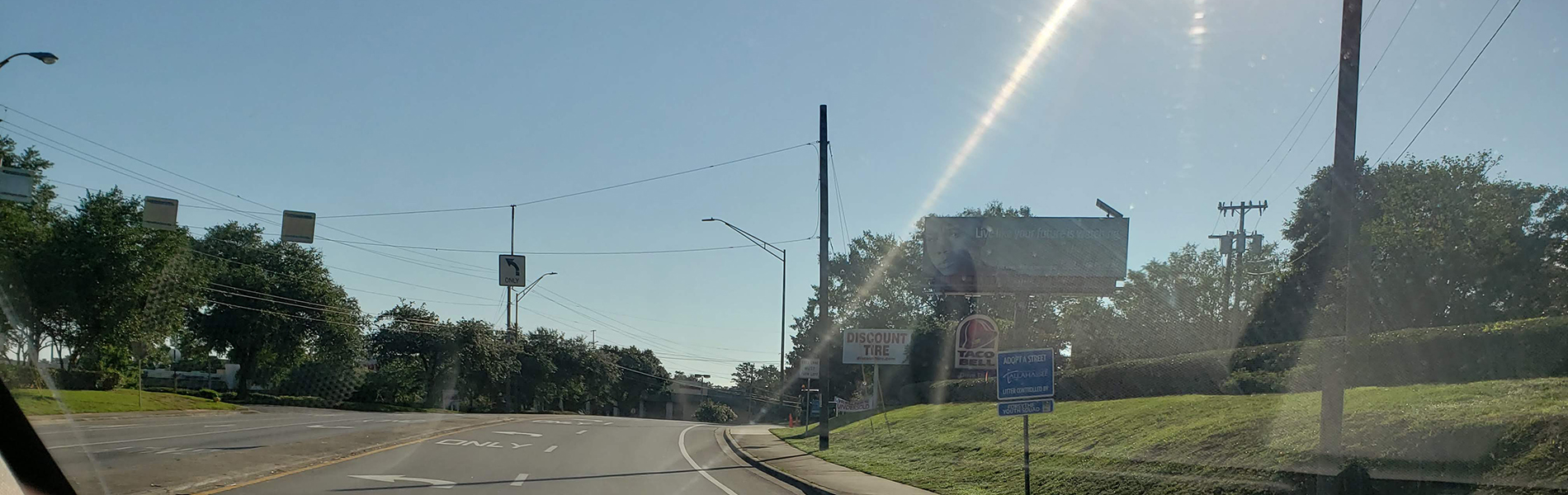 Laura's Theory of the Universe