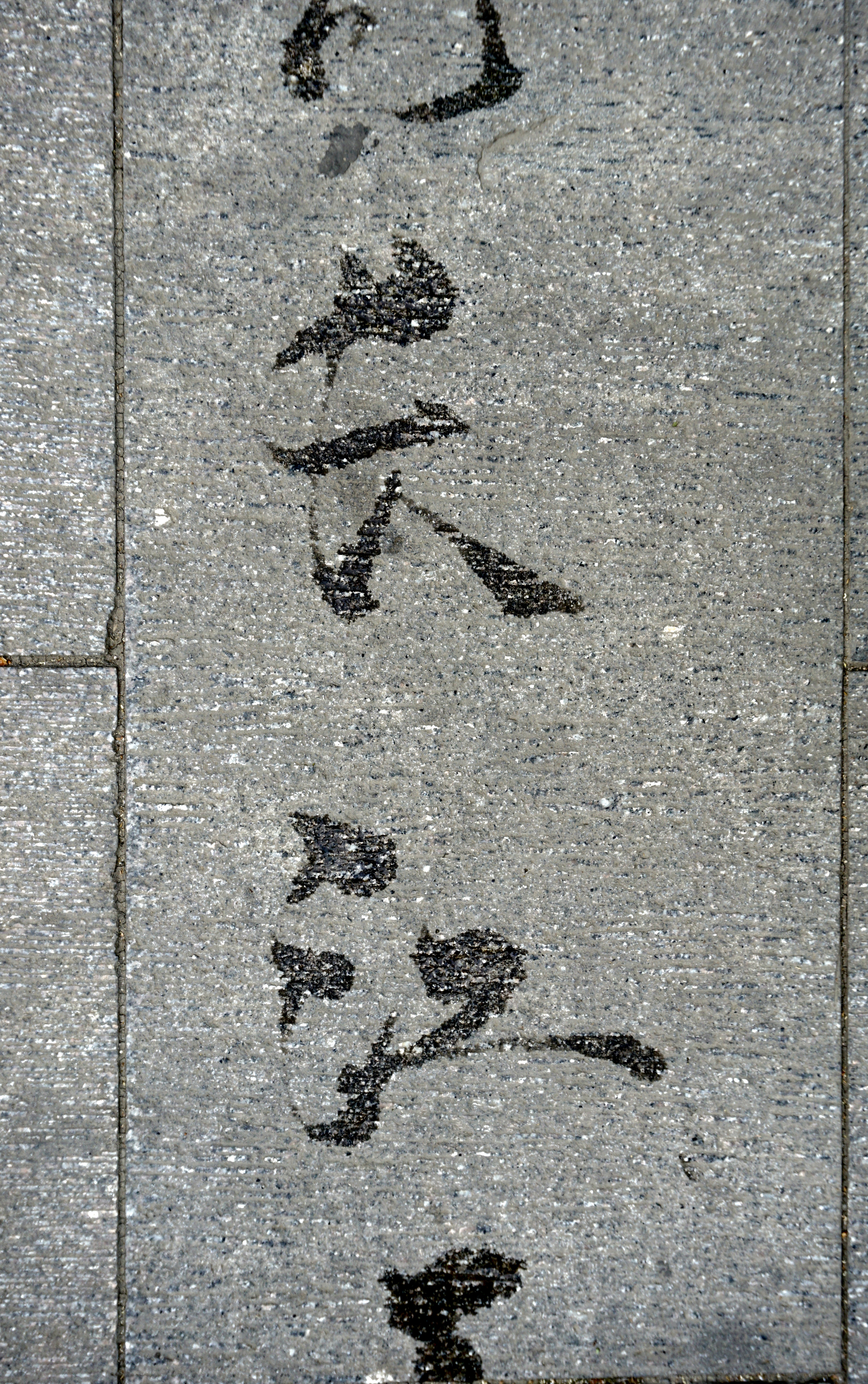 water calligraphy