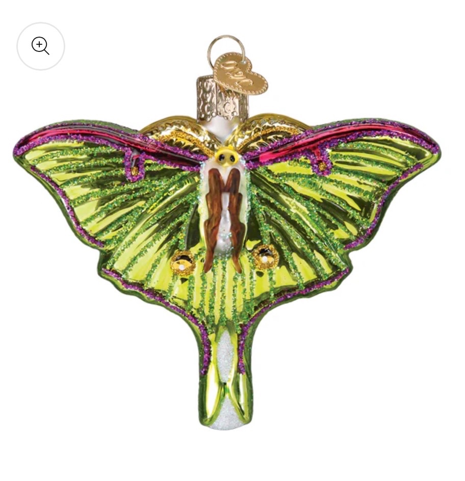 Luna Moth