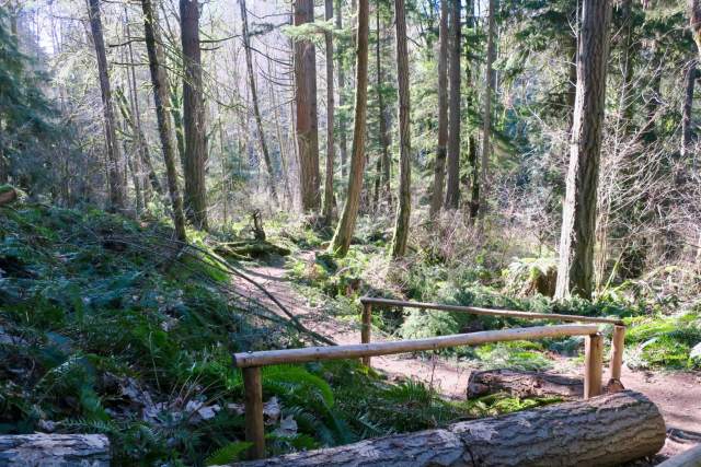 Hiking on the Four Cedars Trail (Lauren Danner photo)