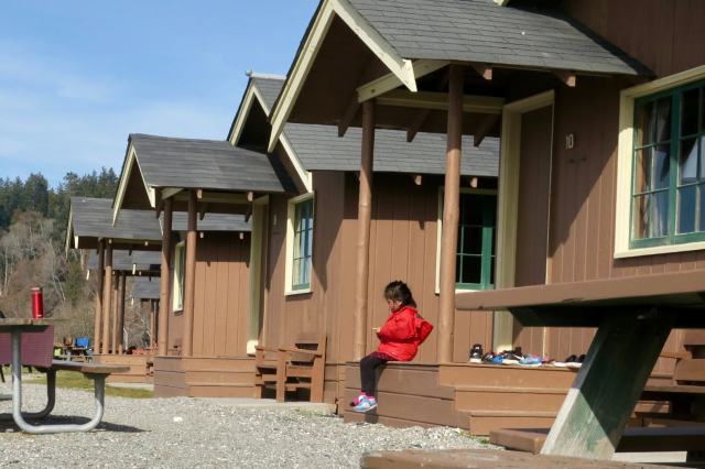 One of our next-cabin-over neighbors at Cama Beach State Park. (Lauren Danner photo)