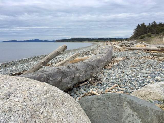 The beach at Joseph Whidbey State Park