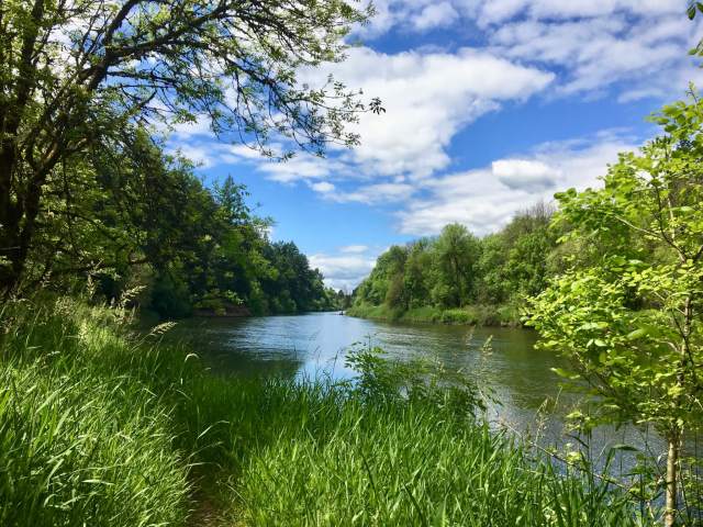 View downstream on the Lewis River in Paradise Point State Park