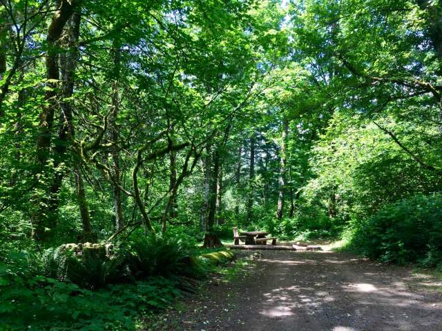 One of the lovely campsites in the main campground. (Lauren Danner photo)