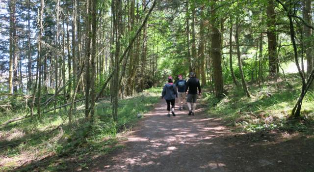 The shady trail from the parking lot to Spencer Spit. (Lauren Danner photo)