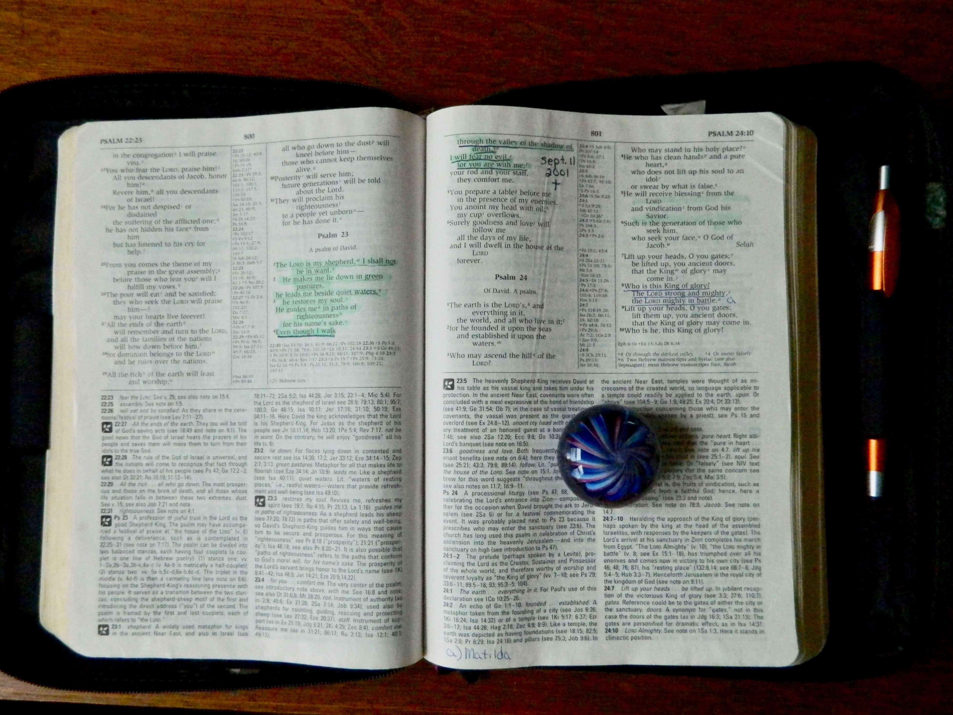 read your Bible every day