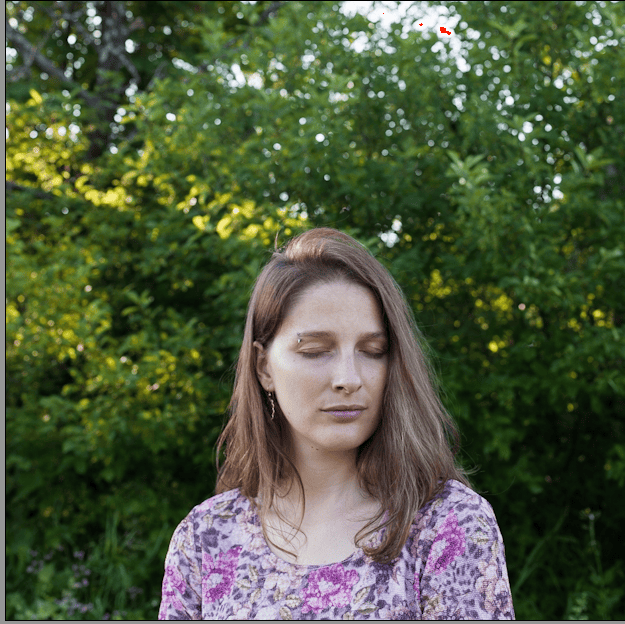 portrait23