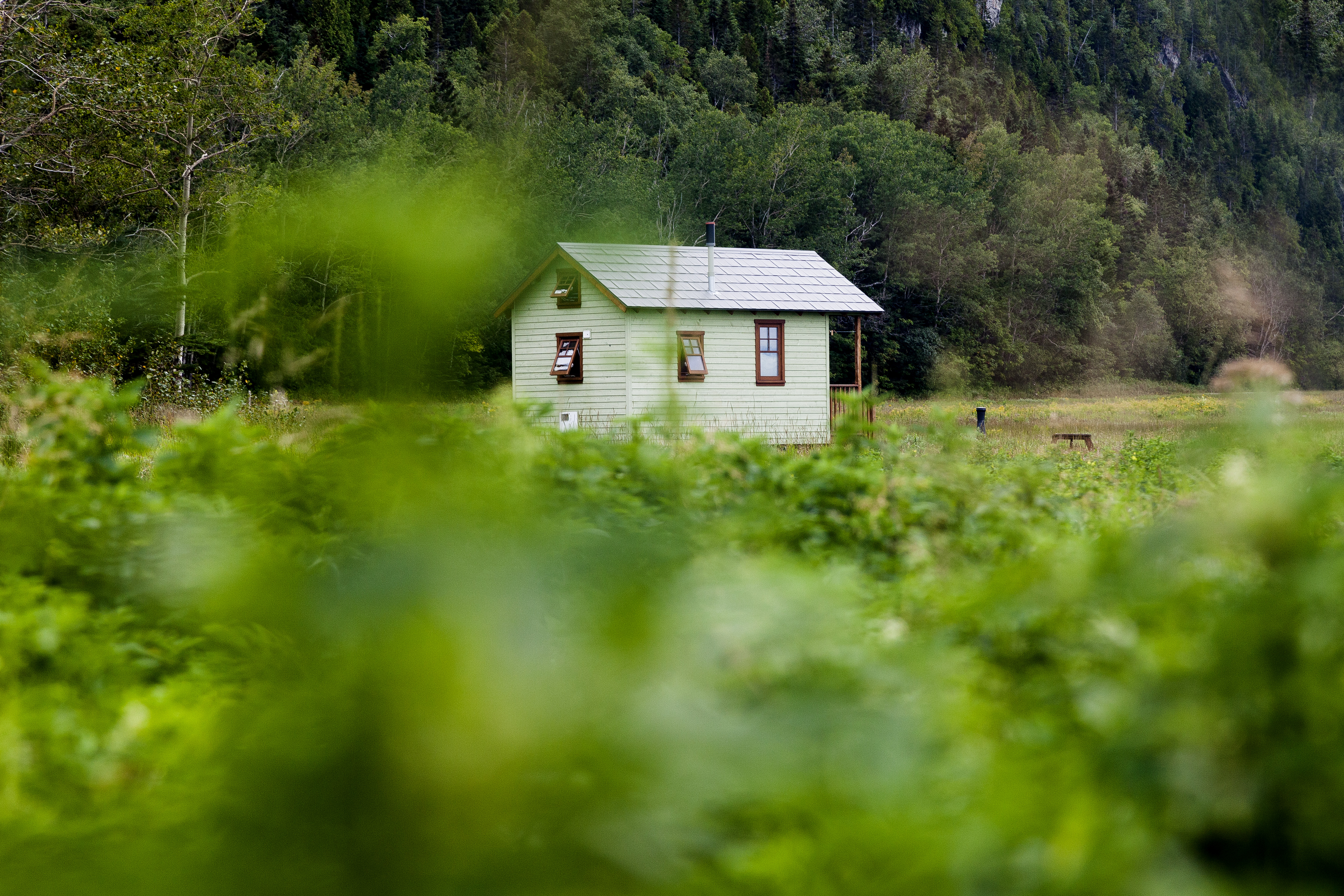 Reportage sur les TinyHouses et le Domaine Floravie(Donald Lebel) pour la revue Versus Magazine à Montréal. Licence autorisée uniquement à Versus Magazine et à Donald Lebel pour son site internet. Une publication autre entraînera une violation des droits d'auteur de la photographe.