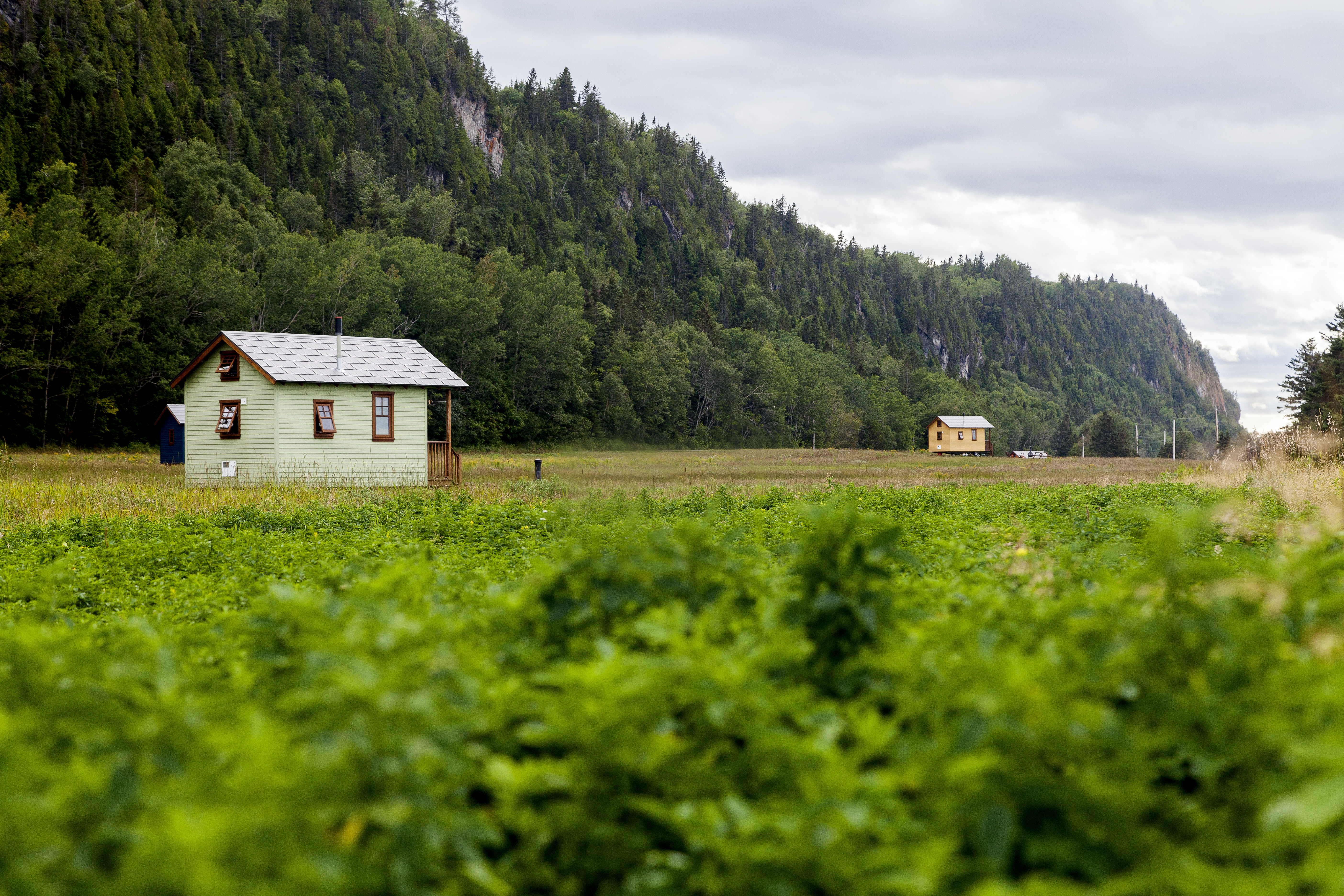 Reportage sur les TinyHouses et le Domaine Floravie(Donald Lebel) pour la revue Versus Magazine à Montréal. Licence autorisée uniquement à Versus Magazine et à Donald Lebel pour son site internet. Une publication autre entraînera une violation des droits d'auteur de la photographe.