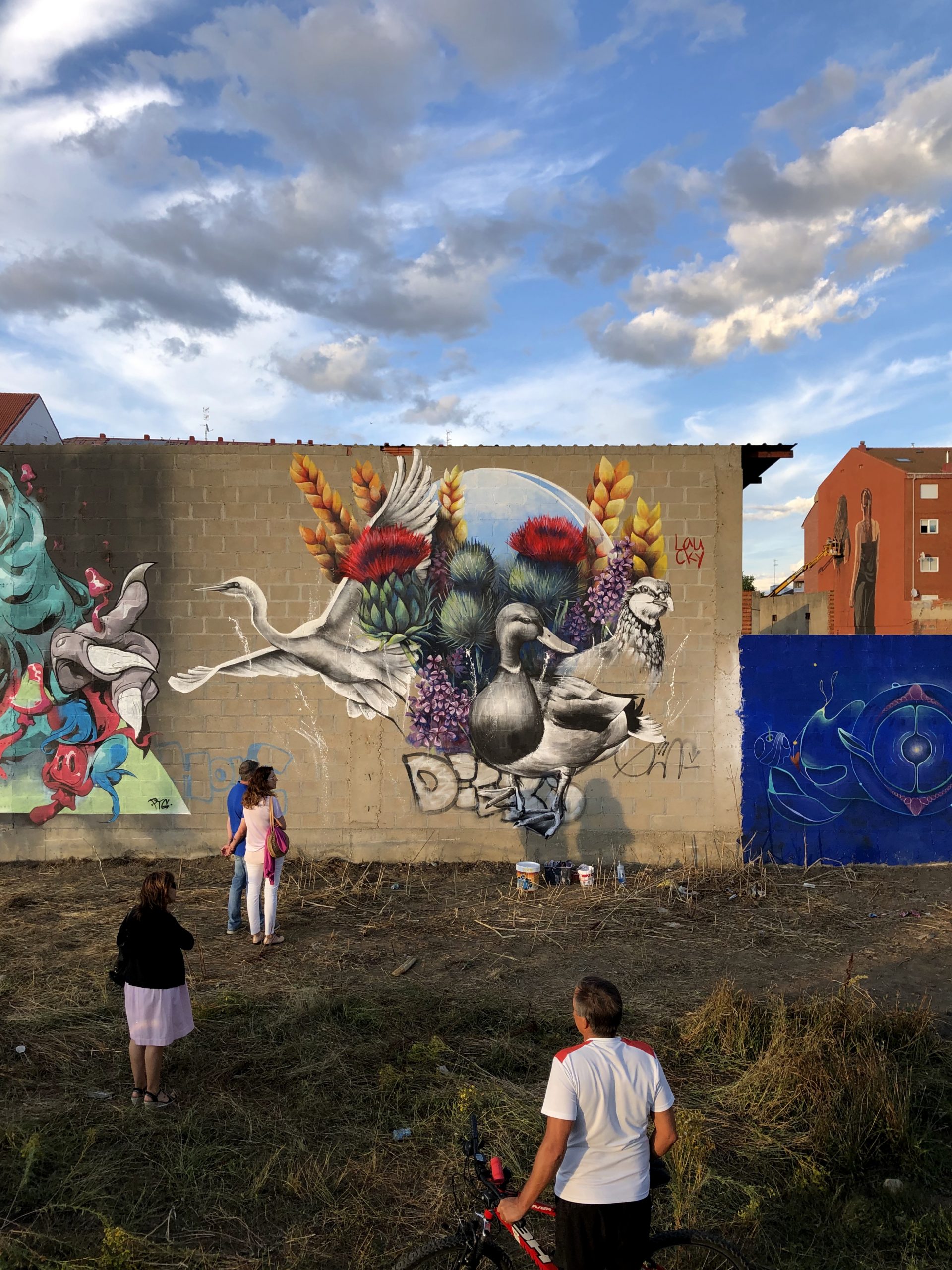 Mural in La Bañeza by Lau Rodriguez, for Artaerorap Fest