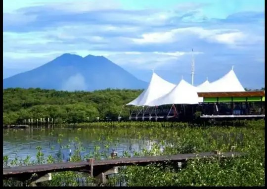Lebih kurang itulah pengertian dari konservasi, mari kita kembali menilik permasalahan konservasi yang ada di indonesia. Memanfaatkan Konservasi Hutan Mangrove Sebagai Ekowisata