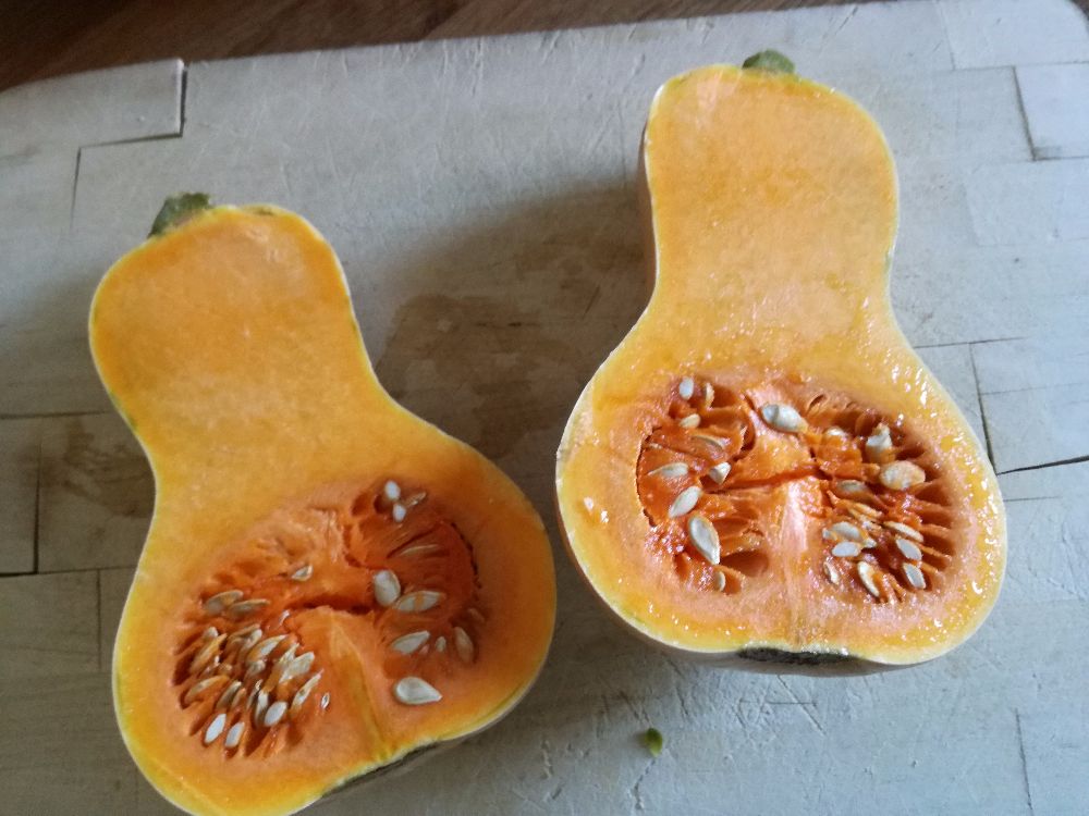 Zucca butternut, per risotto zucca e salsiccia