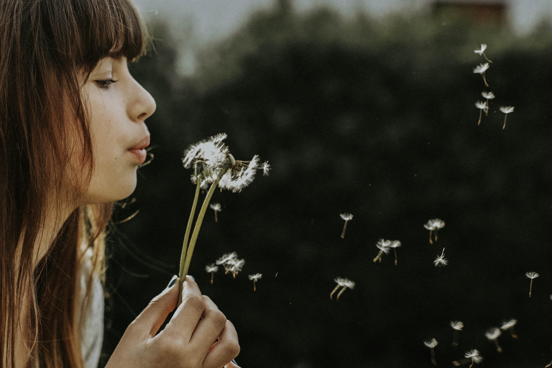 brunette blowing on a dandelion