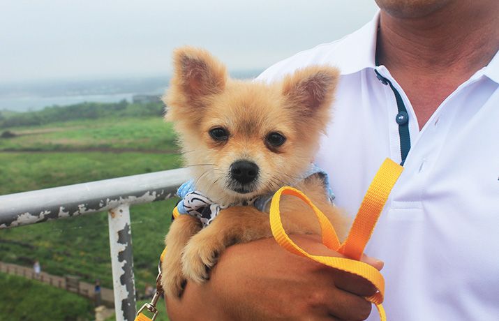 Curiosidades De Corea Del Sur Y Excentricidades De Los Coreanos