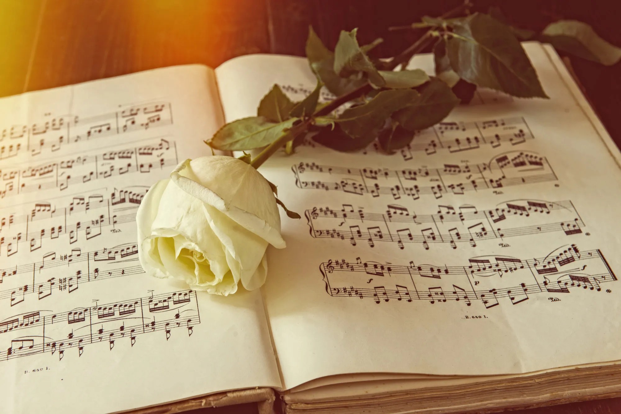 pics I Watch The Sunrise Hymn Lyrics 11 popular funeral hymns and songs for religious services