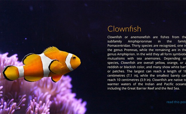 Dynamic Content Slider | LayerSlider Free Slider Template