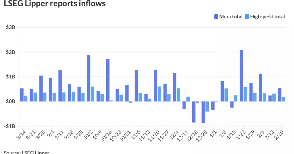 Current Trends in the Municipal Bond Market: Insights and Analysis