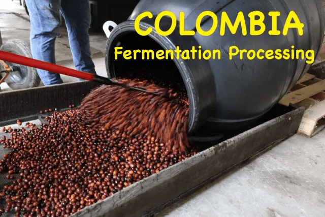 Why colombia fermentation process is top in the world?