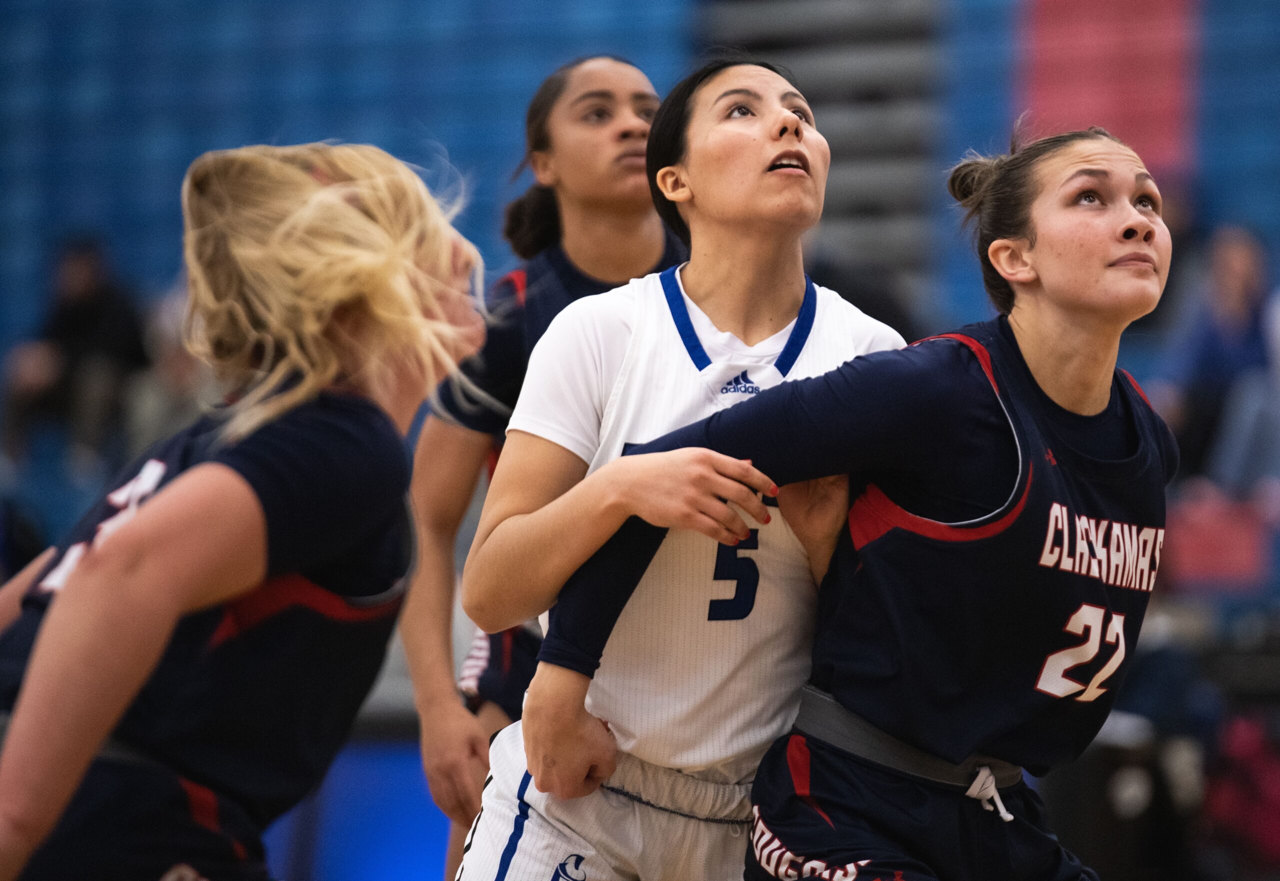 Lane Basketball Season Wrap-Up: Strong Playoff Push and Bright Future Ahead