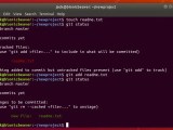 An Introduction To Using Git Linux