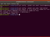 An Introduction To Using Git Linux