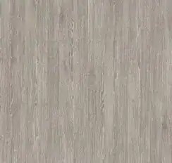 Fossil Oak