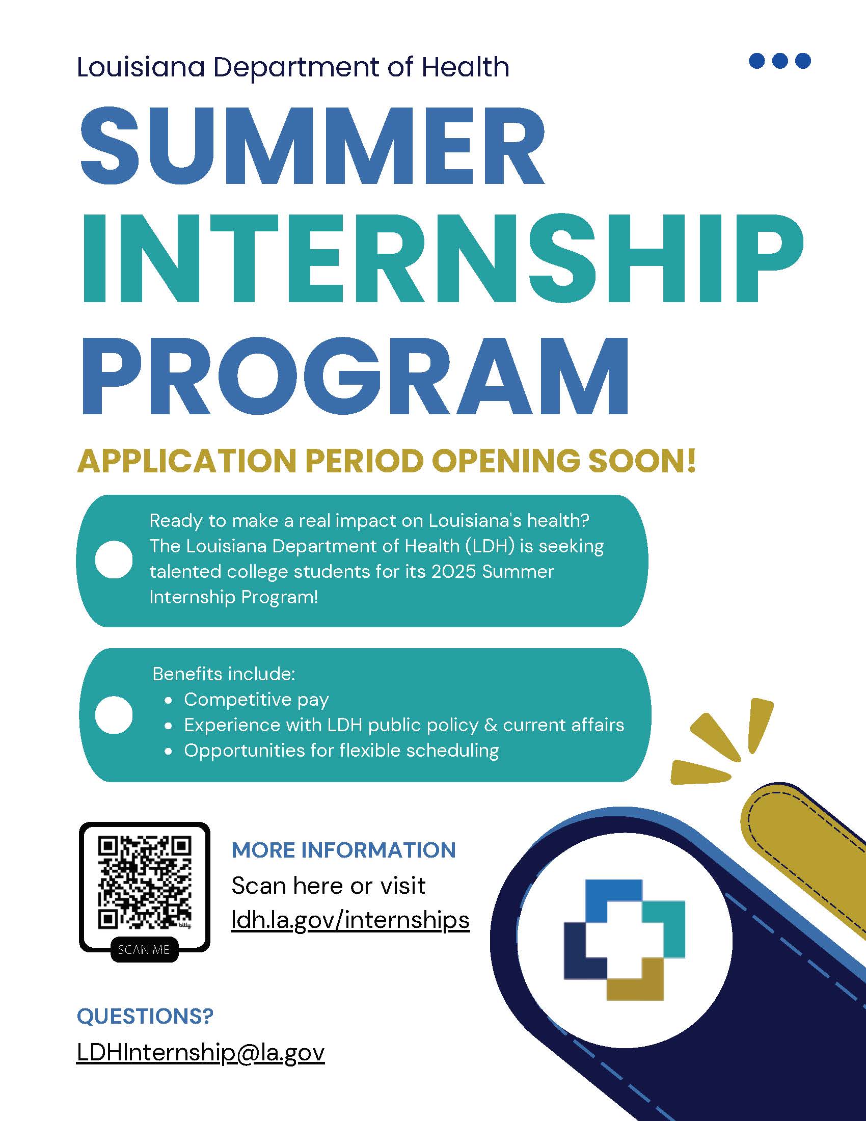 Ldh summer internship 2025