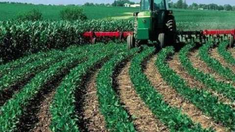 وزارة الفلاحة تحفّز الفلاحين بتدابير تفضيلية لتنمية فلاحية منتجة ذات قيمة مضافة