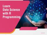 Data Science Course With R Programming Lead Academy