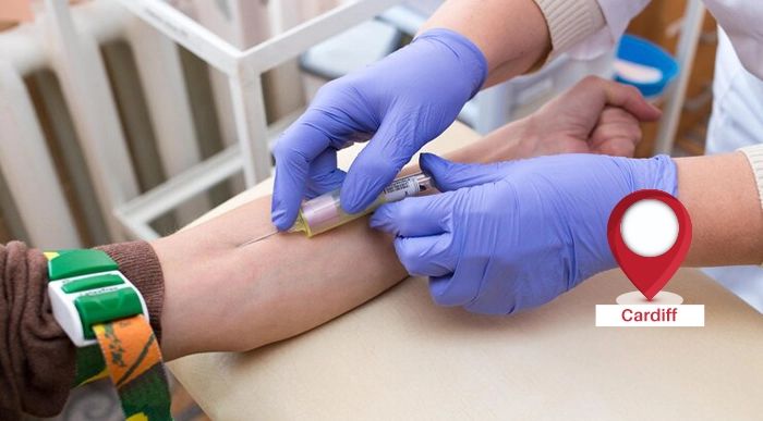 Advanced Competency Phlebotomy Training By Lead Academy Cademy - Premium City Background Gallery - Mobile