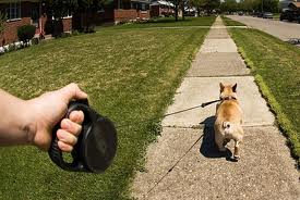 Rectractable Leash