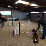 Bailey at Agility Class