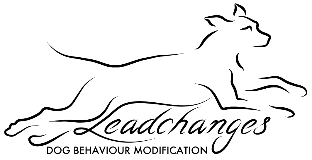 Leadchanges