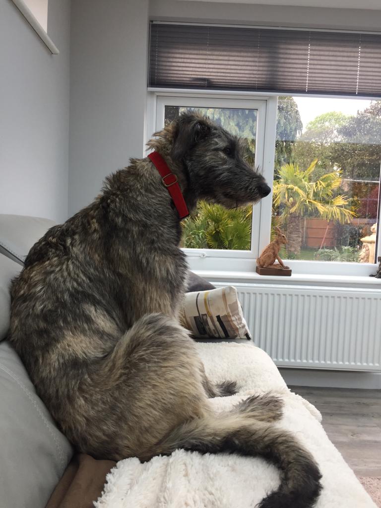 Mick and Kerry & Luna, Norwich