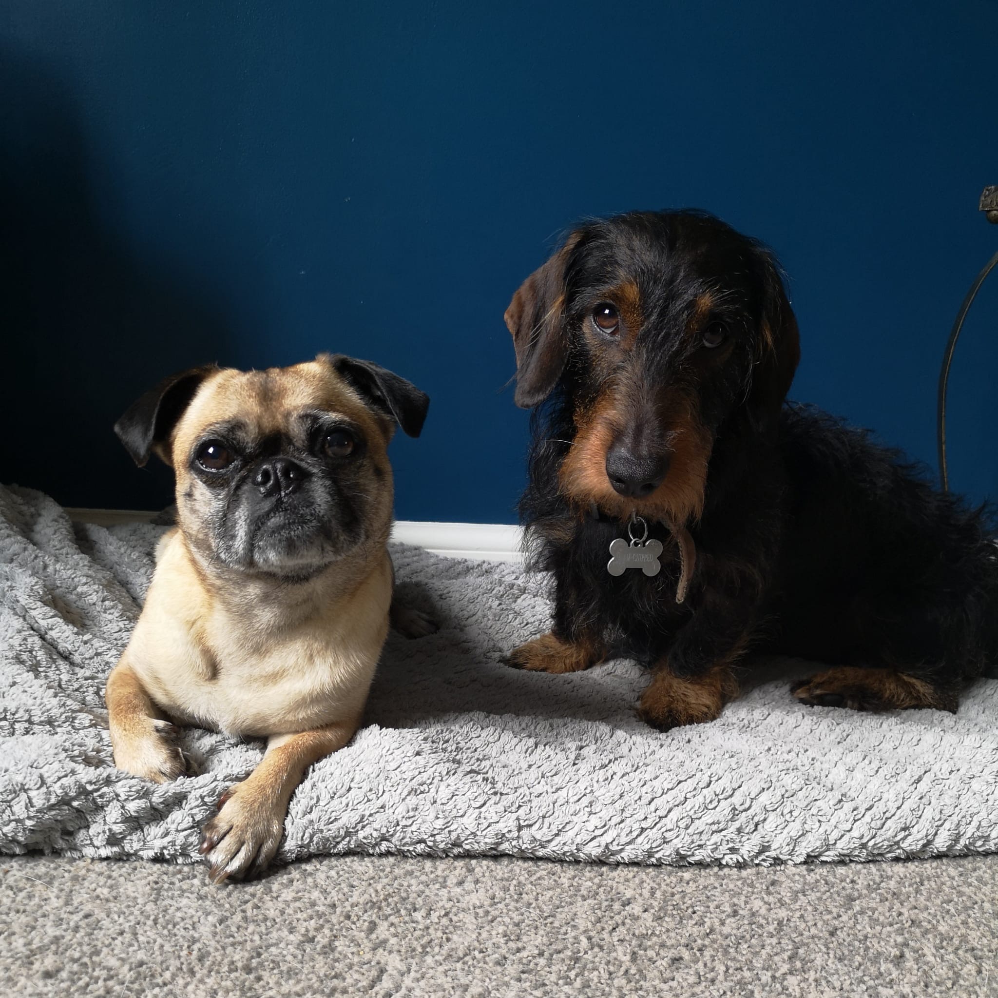 Elton & Deedee