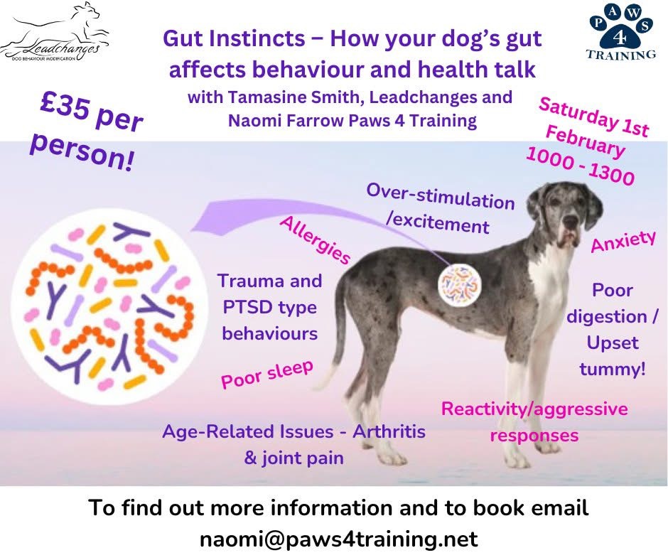 Gut Instincts next date TBC