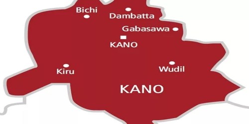 Kano Expands Hypertension Care To 208 PHCs