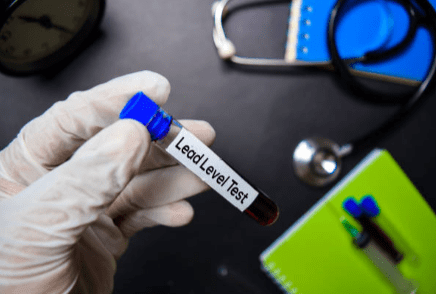 lead based paint inspection
