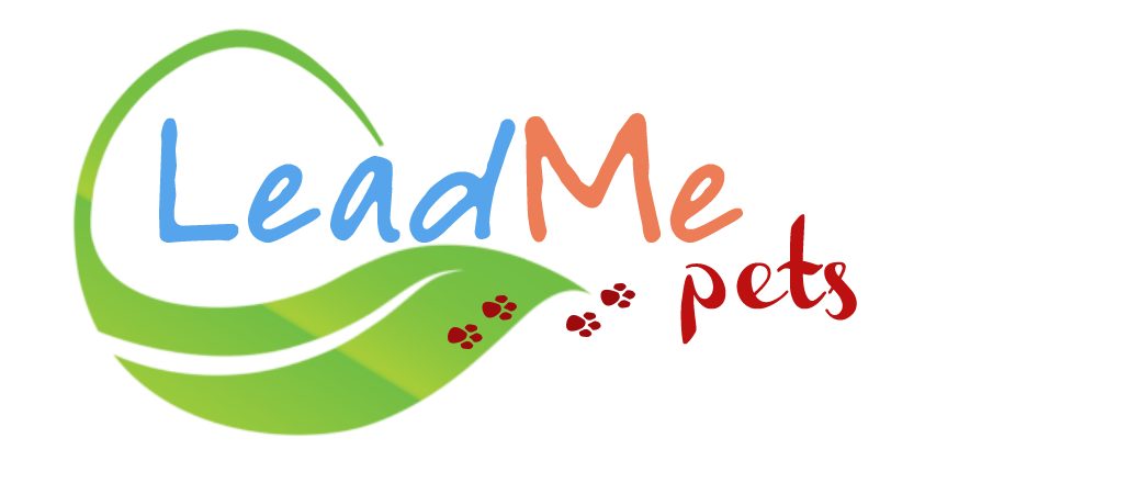 LeadMe Pets