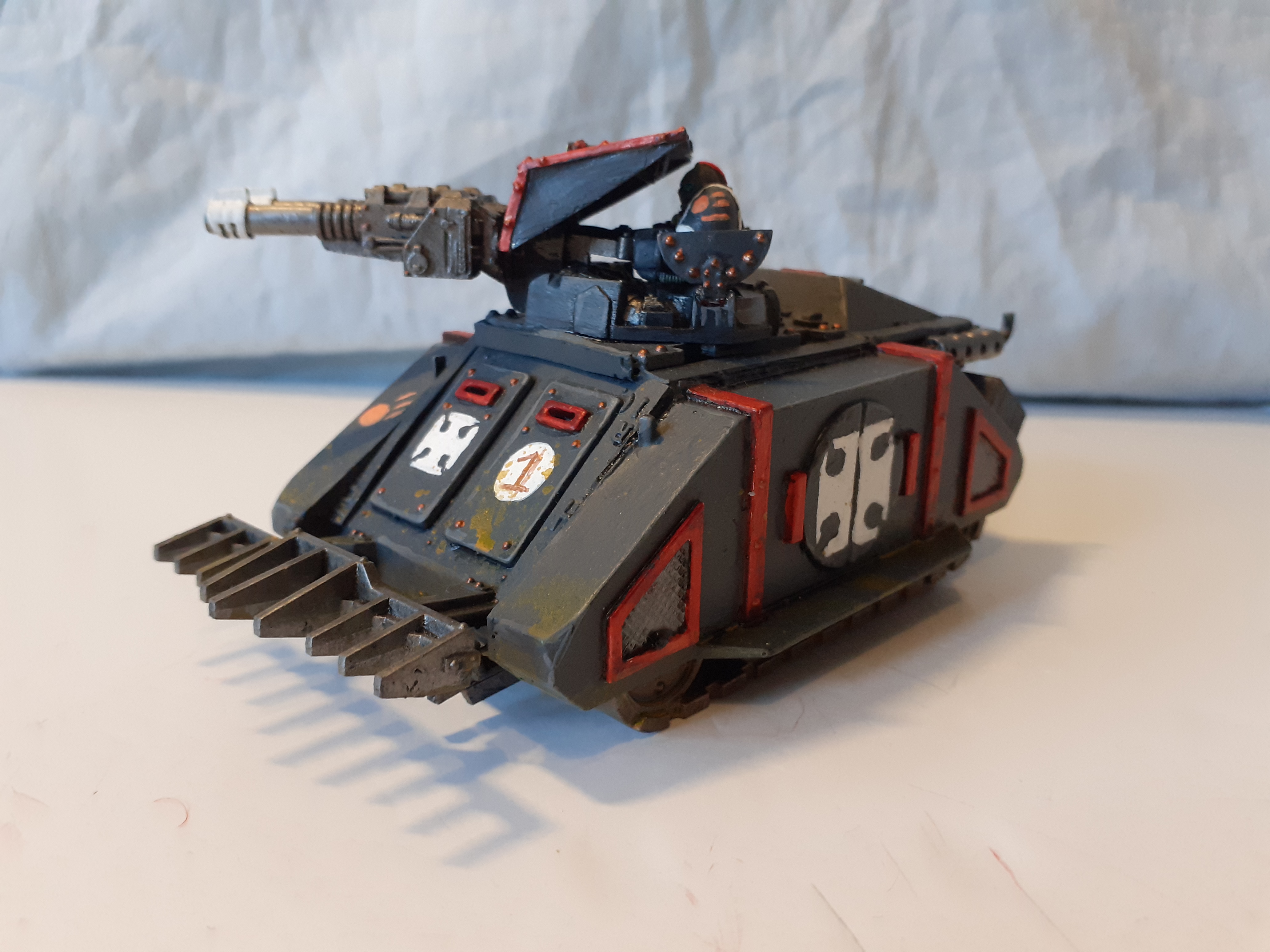 20250912_razorback01.jpg?ssl=1