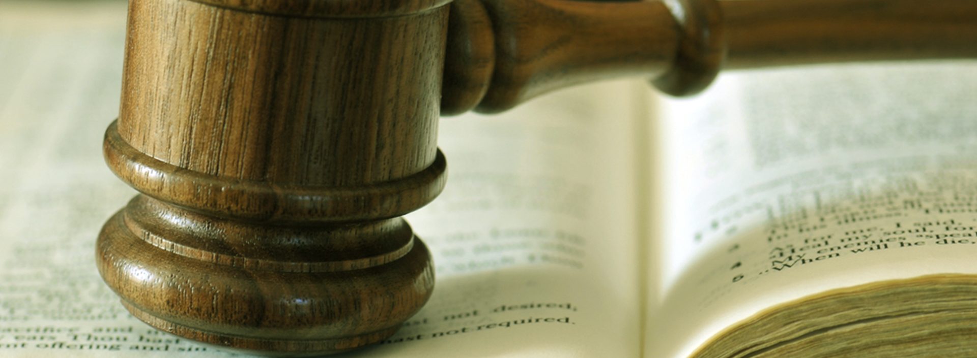 Header Rules LEAD Area Chamber Of Commerce